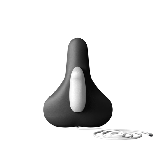 Pelviso - Bäckenbottenträning hemma